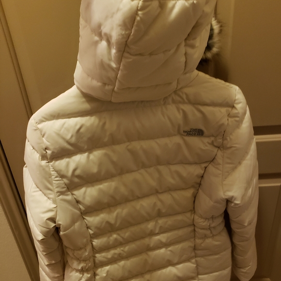 Jacket - Picture 6 of 8